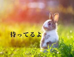 ひかる