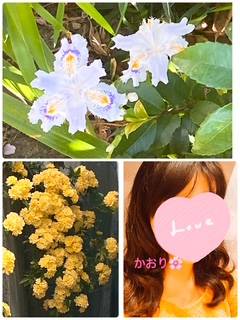 かおり