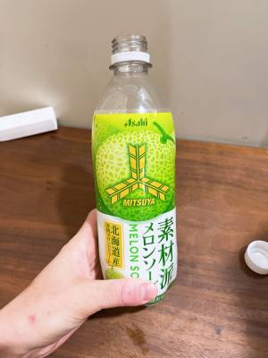 本店　ひな