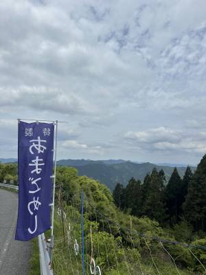 ねね