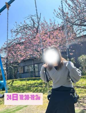 本店　ここな