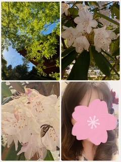 かおり