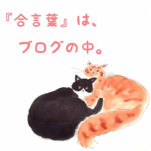 まゆみ