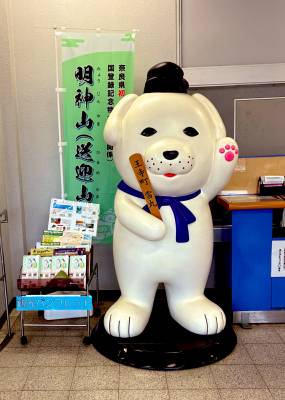 珠希ねこ