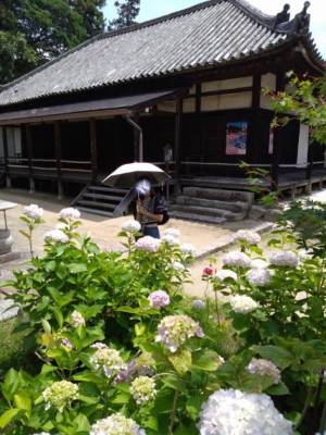 ねね