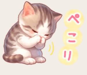 ゆかり