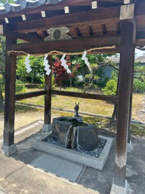 ねね