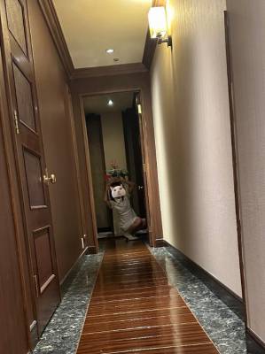 ねね