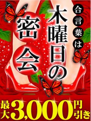 珠希ねこ