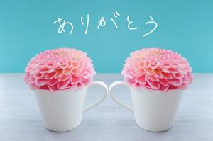 ほなみ