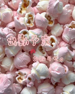 まゆみ