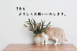まゆみ