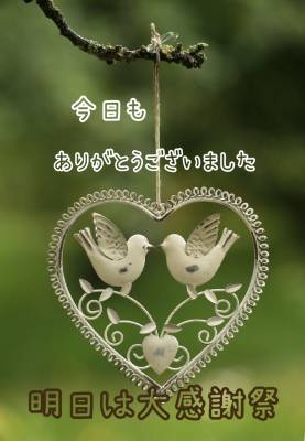 まゆみ