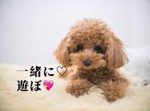 ひかる