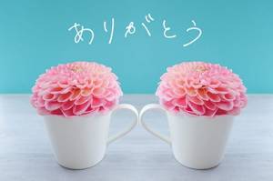 ほなみ