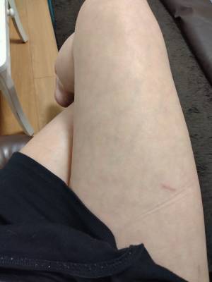しおり