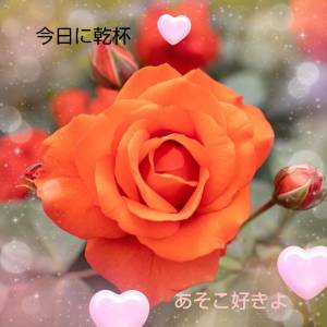 せり