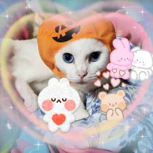 ゆめ