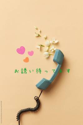 まゆみ