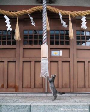 ちひろ