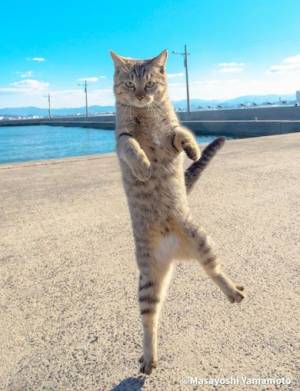 ちひろ