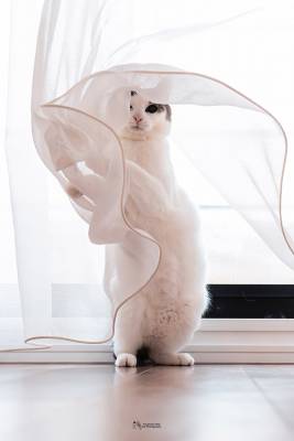 ちひろ