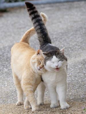ちひろ