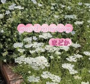 まどか