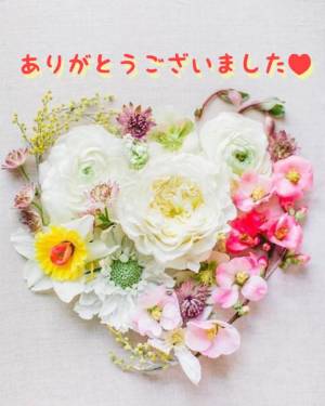 まゆみ