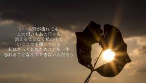 せり