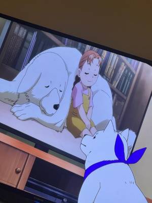 如月りお