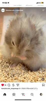 にこ