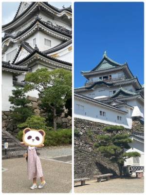れいな