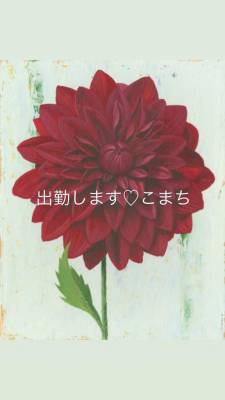 こまち