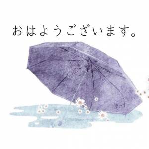 まゆみ