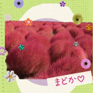 まどか